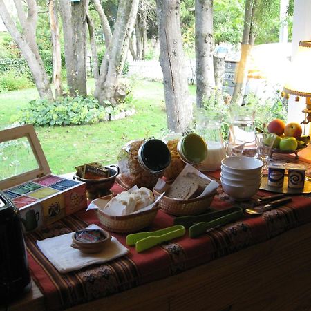 Dodo House Bed & Breakfast Villa La Angostura Exterior photo