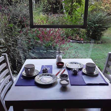 Dodo House Bed & Breakfast Villa La Angostura Exterior photo