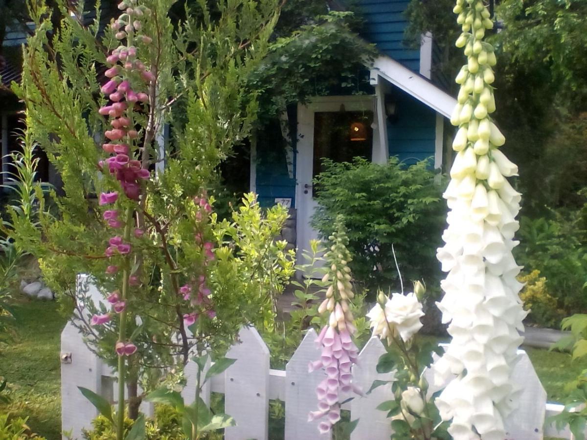 Dodo House Bed & Breakfast Villa La Angostura Exterior photo