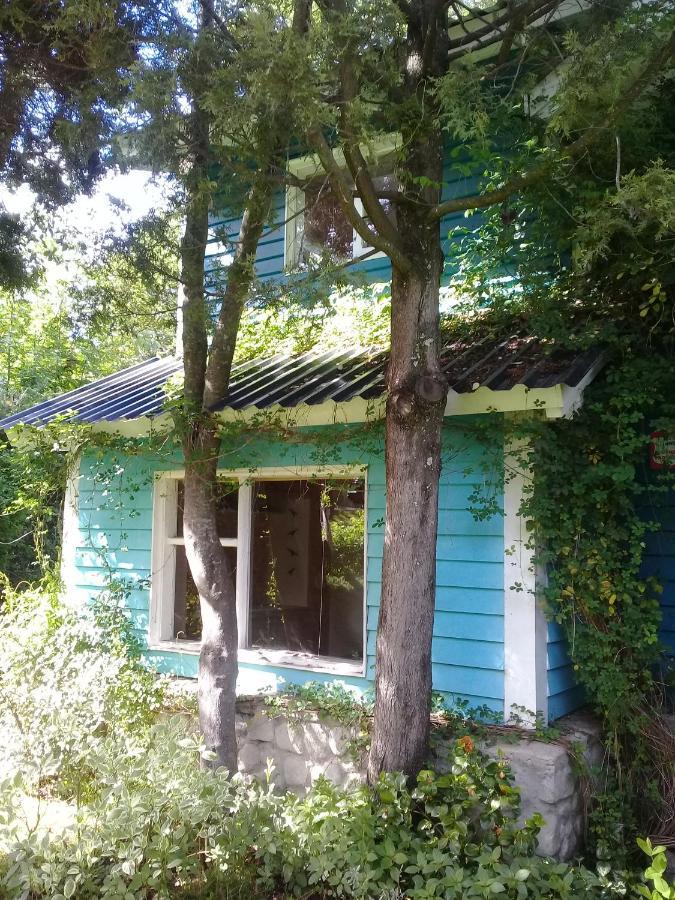 Dodo House Bed & Breakfast Villa La Angostura Exterior photo