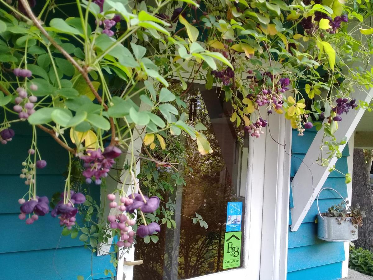 Dodo House Bed & Breakfast Villa La Angostura Exterior photo
